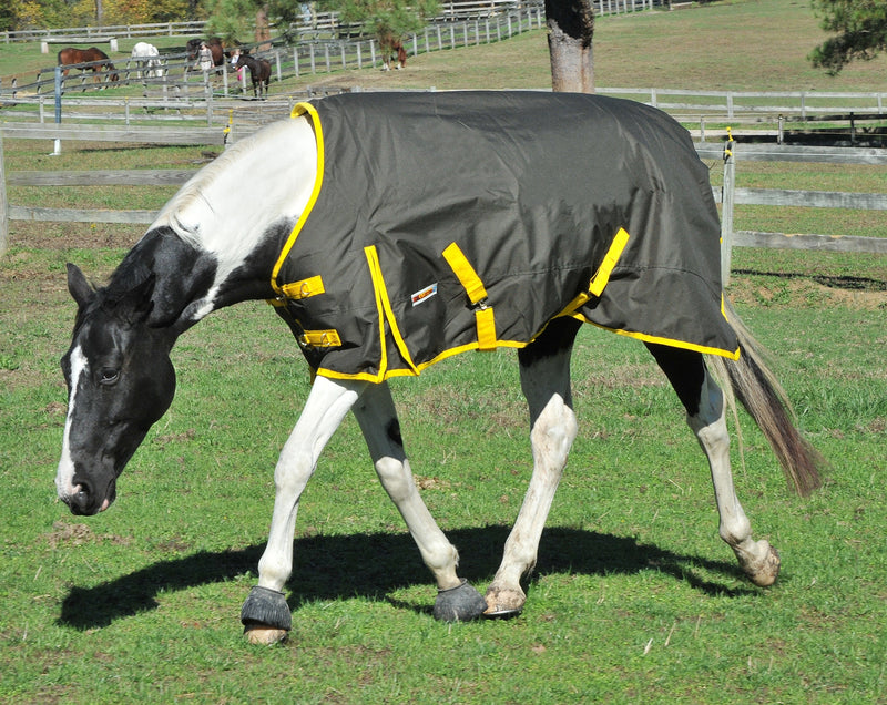 McAlister 600D Waterproof Heavyweight Turnout Blanket
