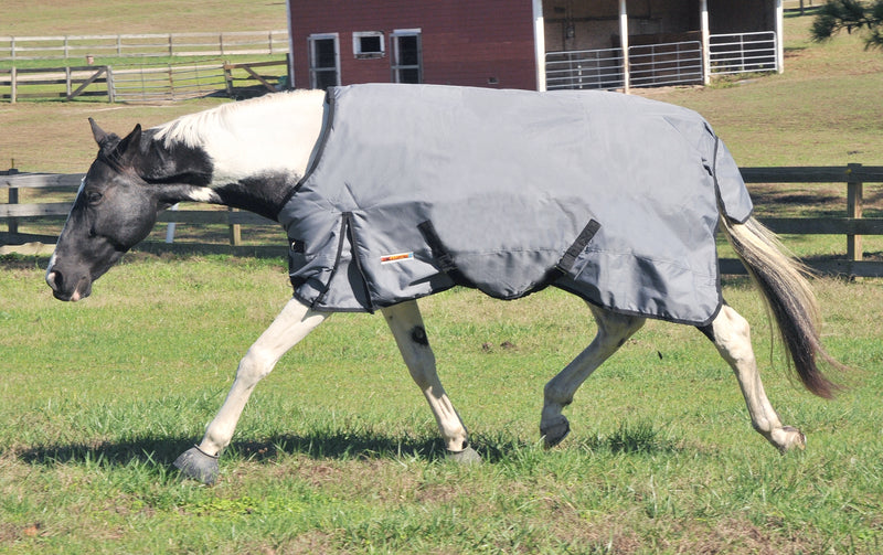 McAlister 600D Waterproof Heavyweight Turnout Blanket