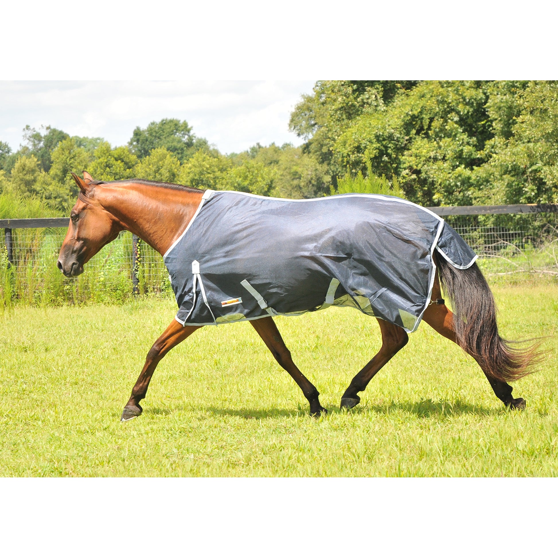 McAlister Soft-Mesh Fly Sheet