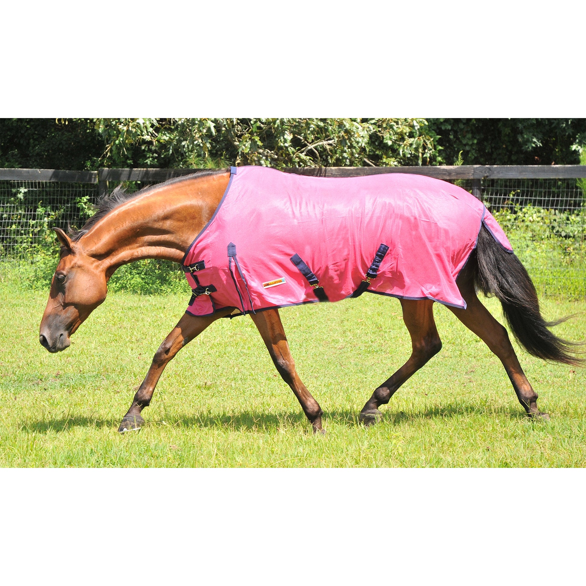 McAlister Soft-Mesh Fly Sheet