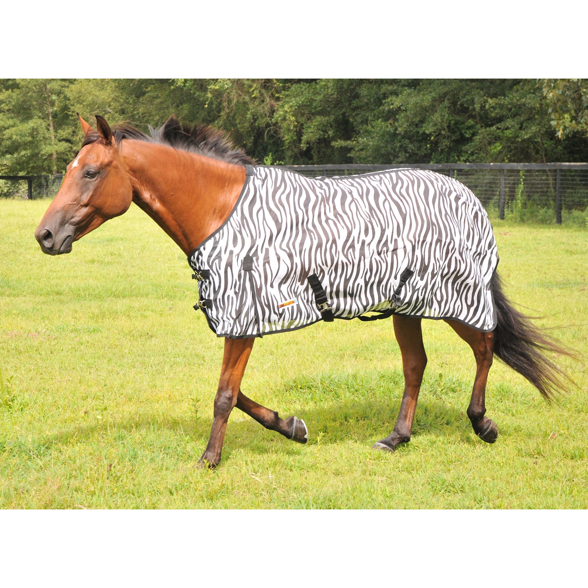 McAlister Soft-Mesh Fly Sheet