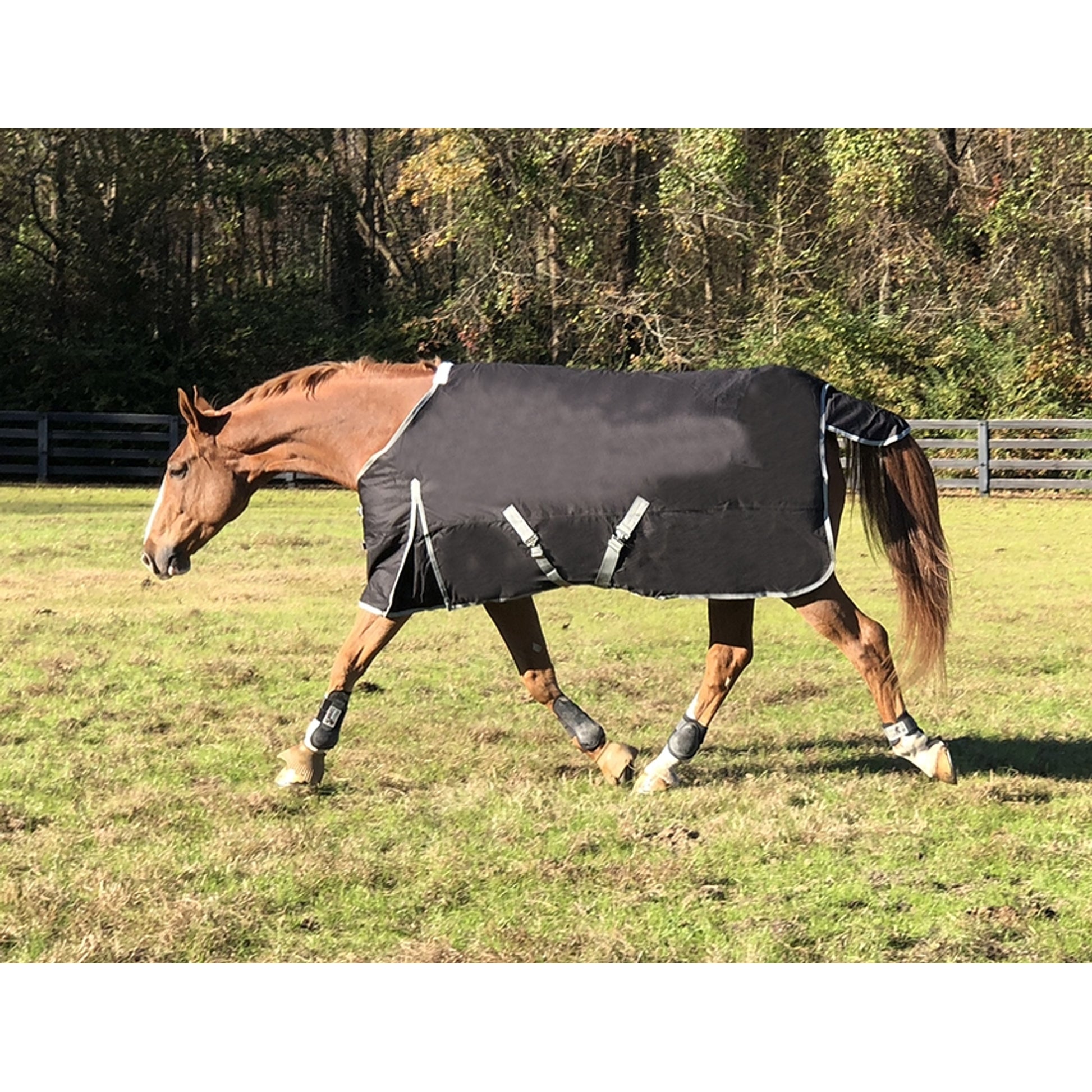 WorldBeater 1200D Waterproof Turnout Blankets