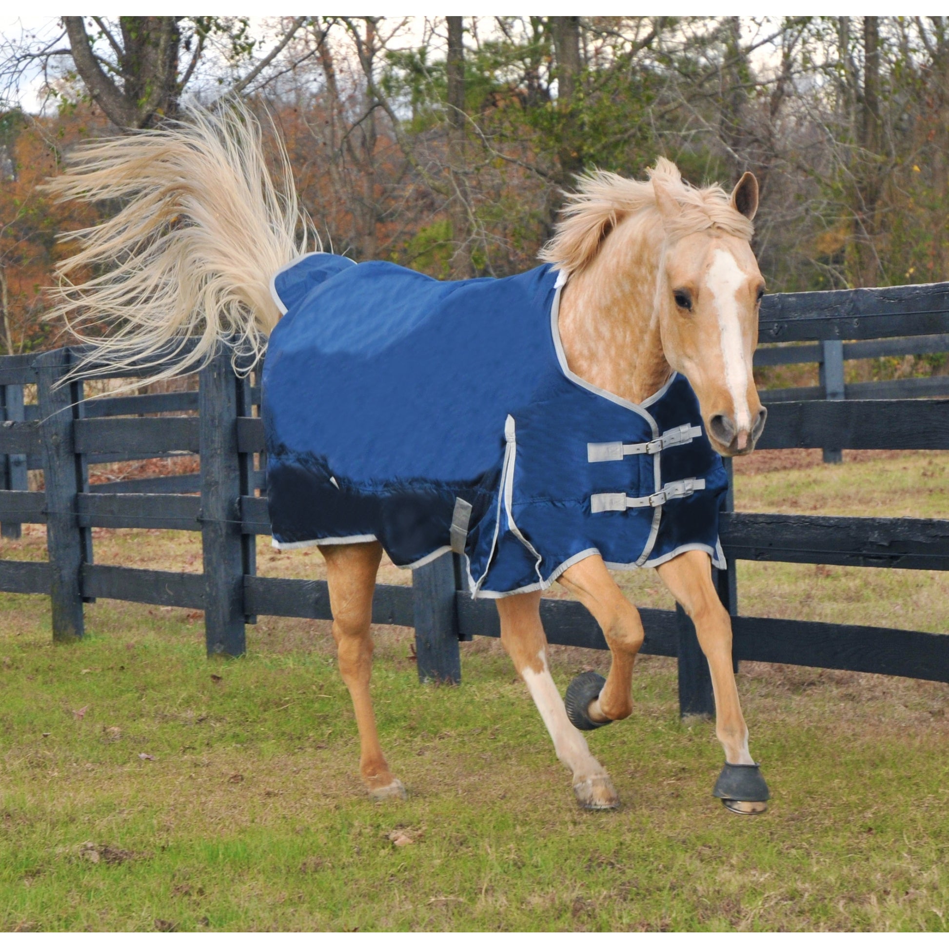 WorldBeater 1680D Waterproof Turnout Blankets