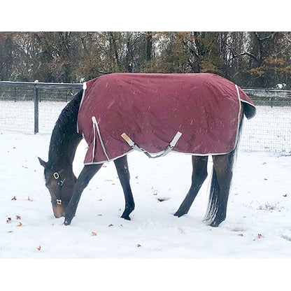 WorldBeater 1680D Waterproof Turnout Blankets