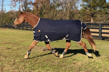 WorldBeater 1200D Waterproof Turnout Blankets
