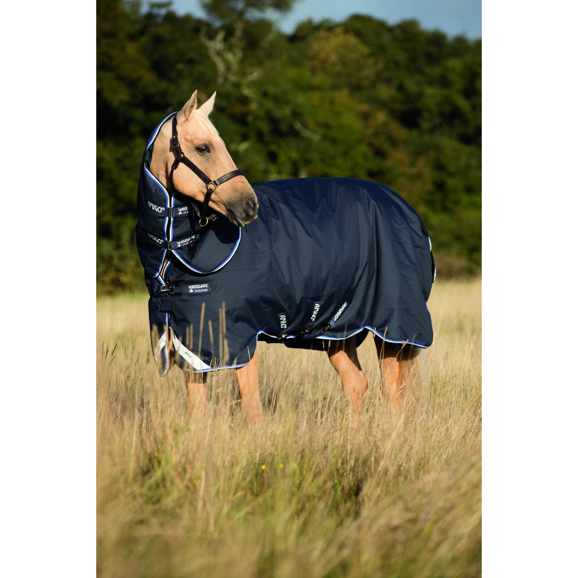 Amigo Bravo 12 Plus Turnout Lite - Straight front