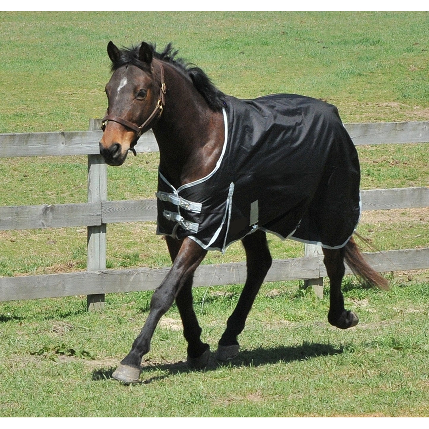 One-Of-A-Kind Turnout Blanket & Sheet Auction Lot Valued at $1500.00