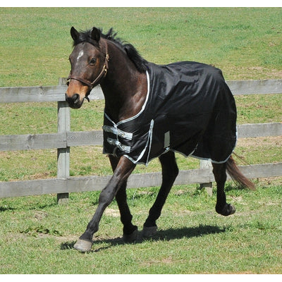 One-Of-A-Kind Turnout Blanket & Sheet Auction Lot Valued at $1500.00