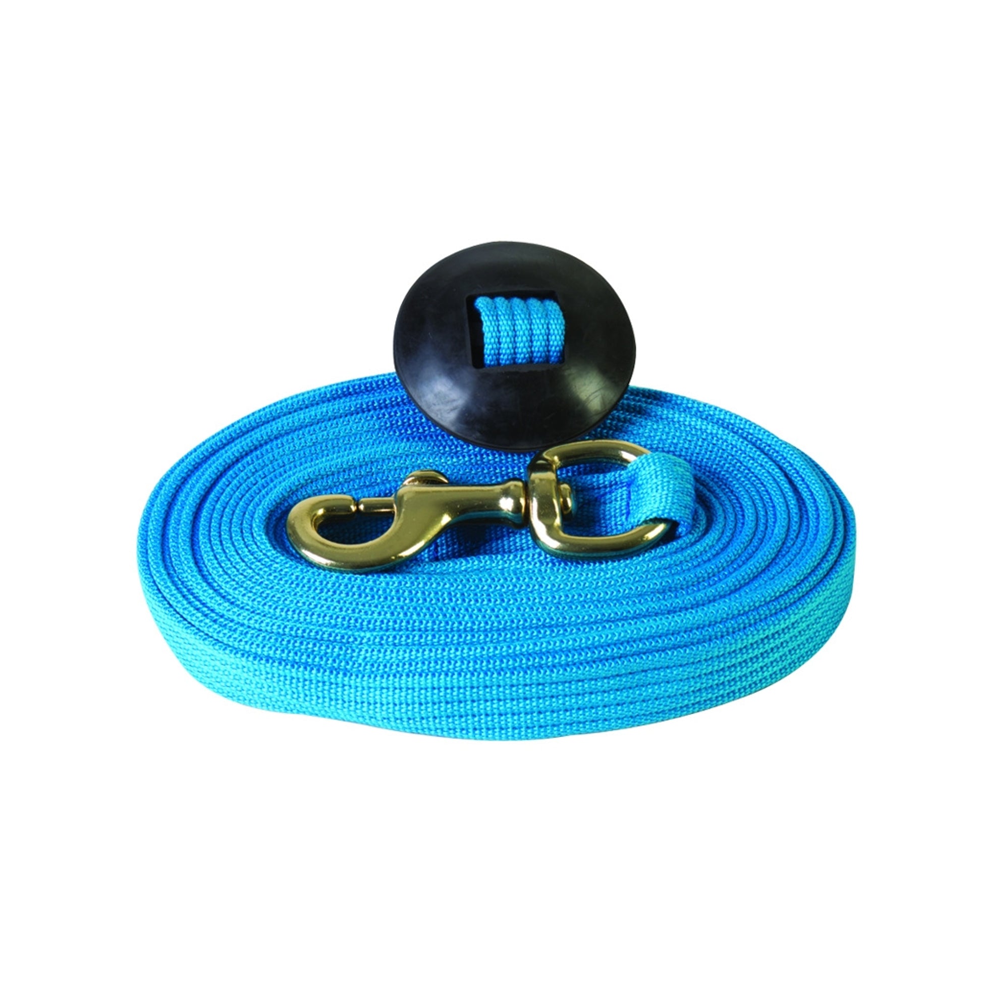 Basic Flat Cotton Web Lunge Line