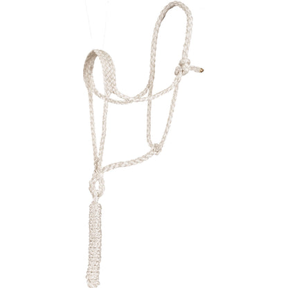 Mustang Flat Braid Mule Tape Halter with 10' Lead