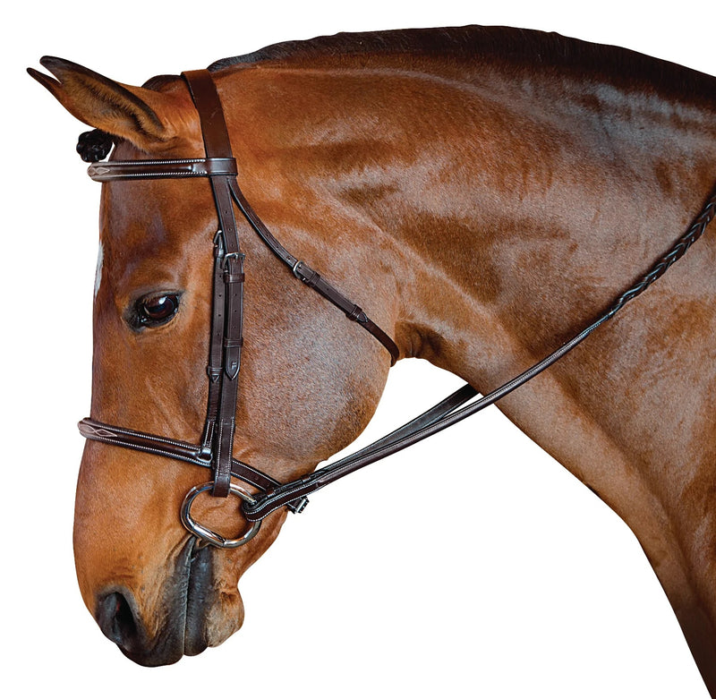 M. Toulouse Standard Hunter Bridle