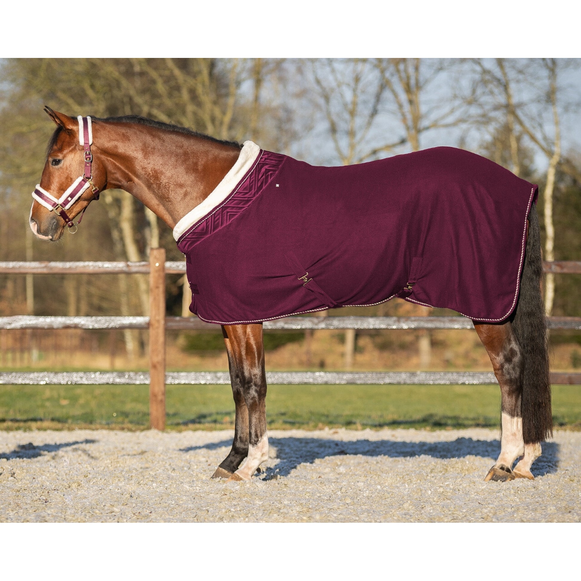 QHP Menton Show Rug