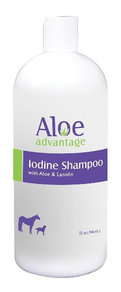 Aloe Iodine Shampoo