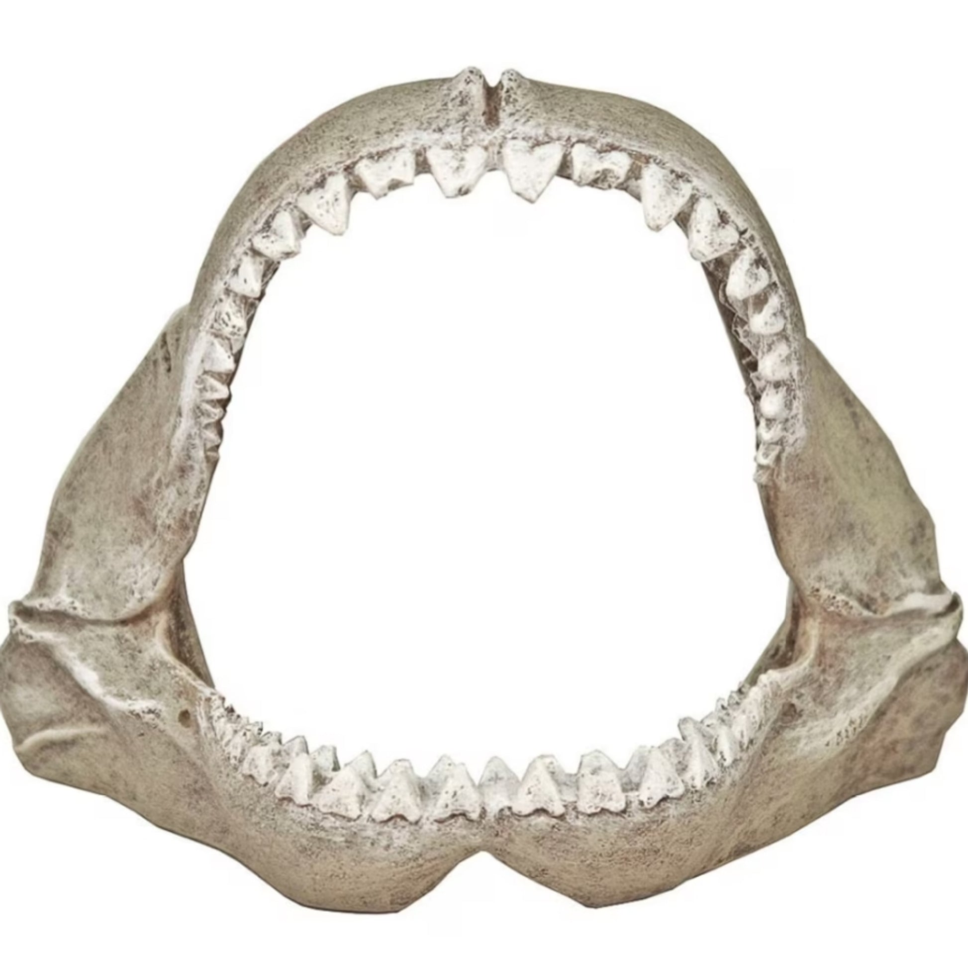 Great White Shark Jaws Aquarium Ornament