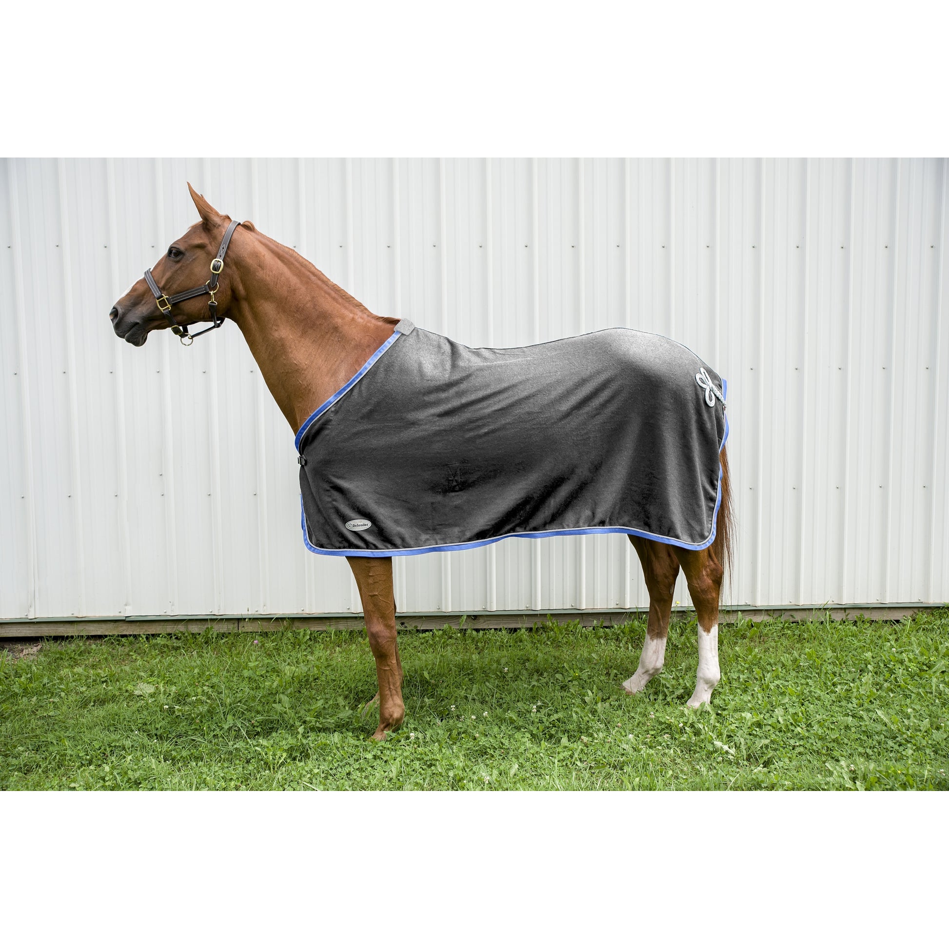 Defender Wool Dress Cooler