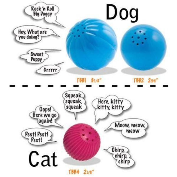 Pet Qwerks