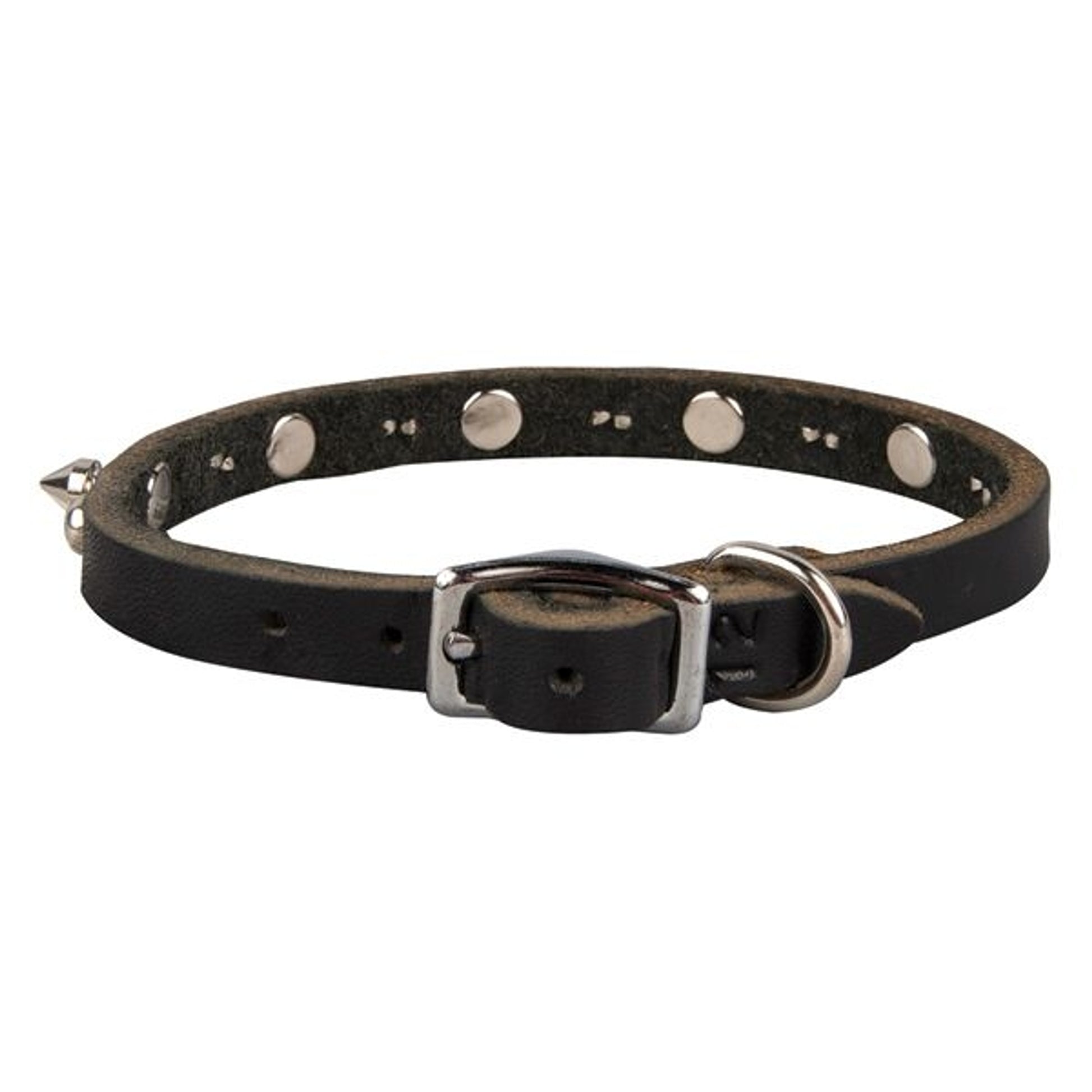 LATIGO LEATHER 1 PLY SPIKED DOG COLLAR