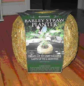 Barley Straw Floating Planter for Clearing Ponds