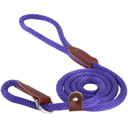 Slip Lead for Dogs