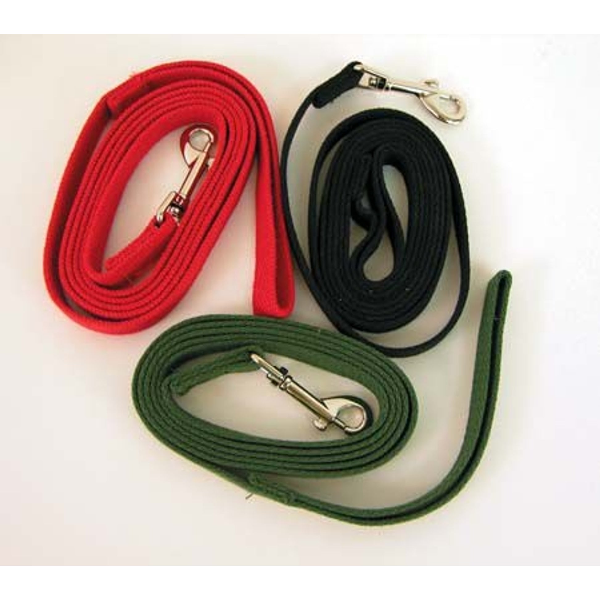 Web Training Dog Lead
