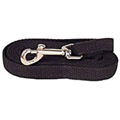 Web Training Dog Lead