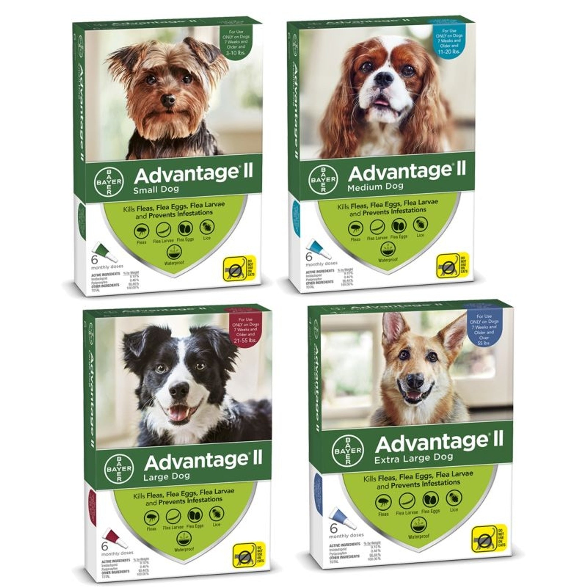 Advantage II for Dogs 12-Month Supply 3-10lb