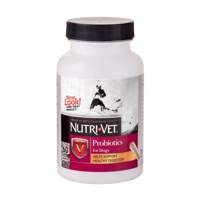 Probiotics Capsules