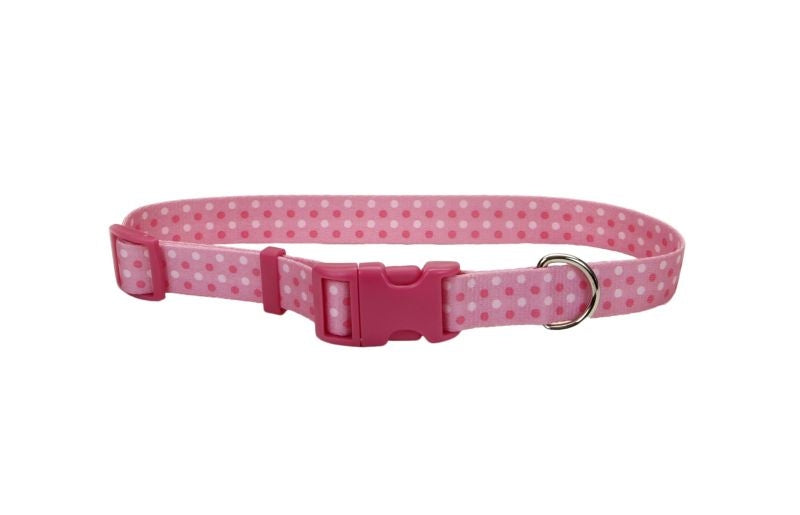 Pet Attire Dots Dog Collar