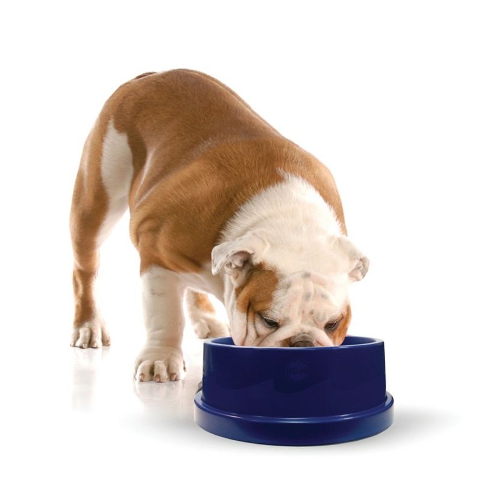 KH Mfg Coolin Pet Bowl 96oz