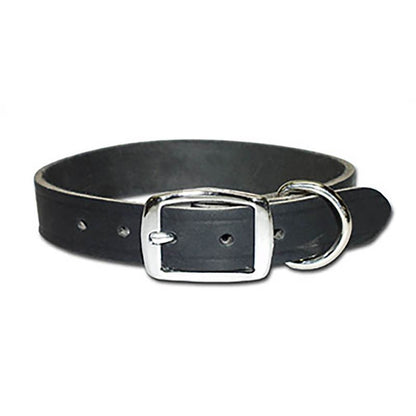 Premium Latigo Leather Dog Collar