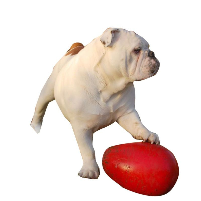 Jolly Pets Jolly Egg