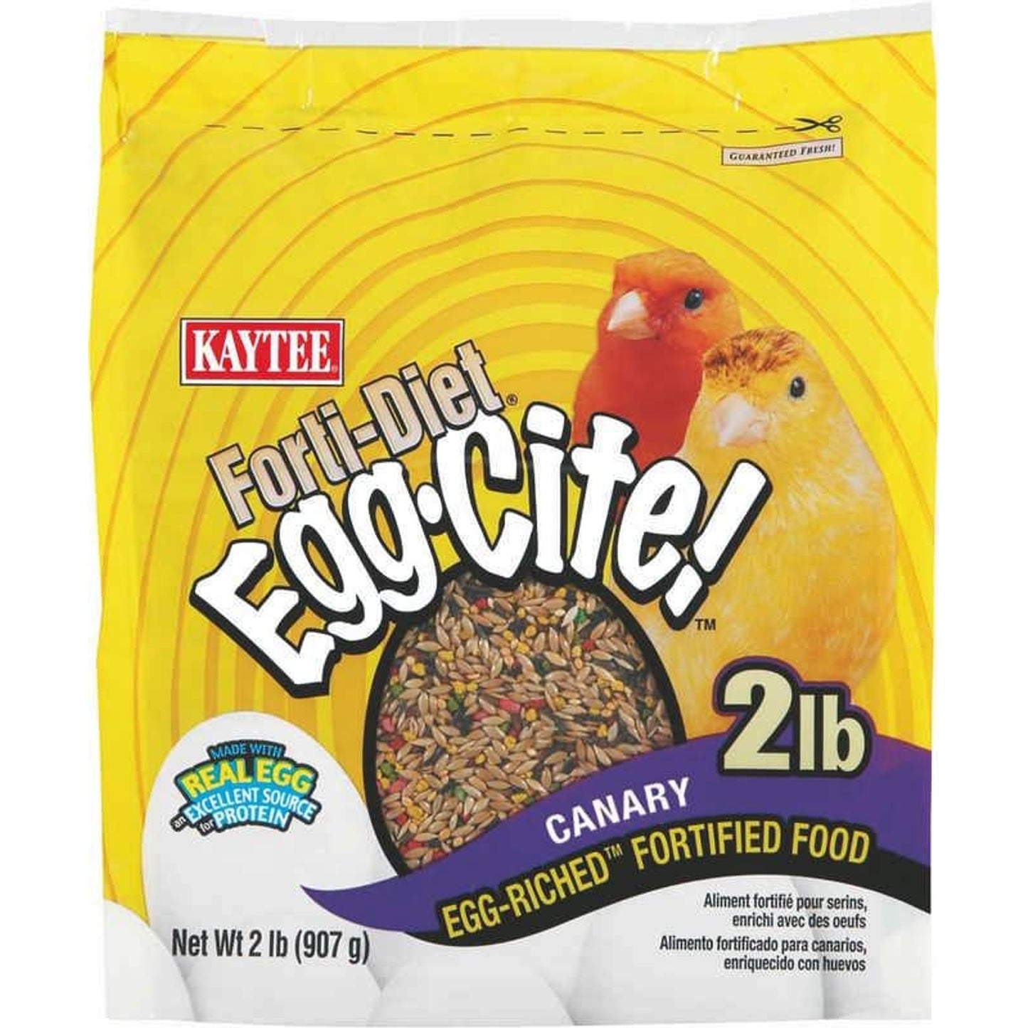 Canary Fortidiet Eggcite
