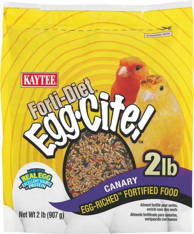 Canary Fortidiet Eggcite