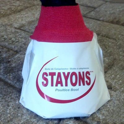 Durvet Stayons Poultice Boot