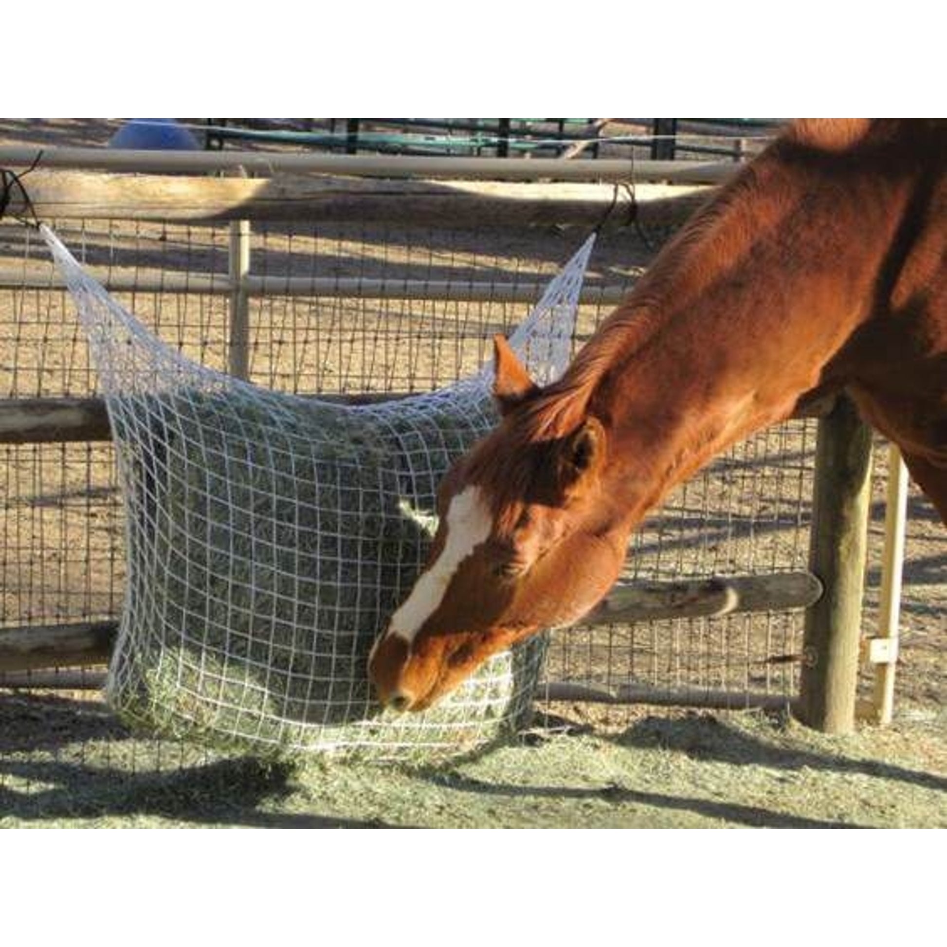 Freedom Feeder Extended Day Feeding Net/2 String Bale