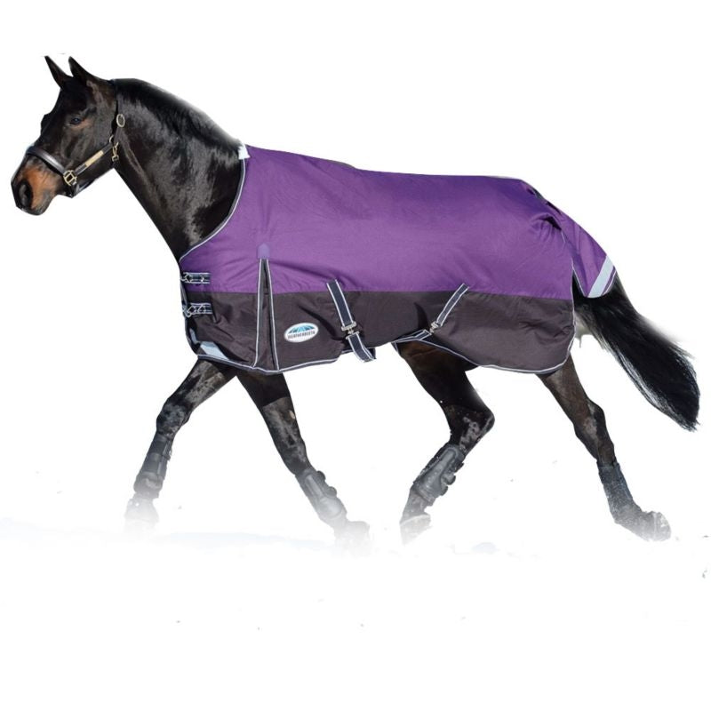Weatherbeeta Comfitec Plus Dynamic Standard Neck Lite Blanket