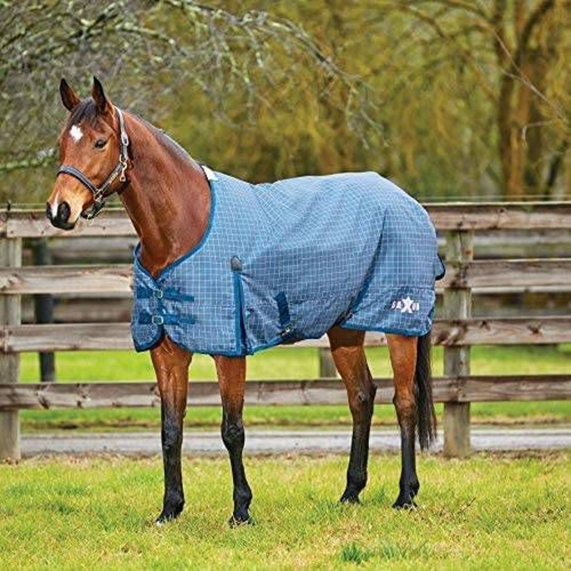 Saxon 600D Standard Neck Medium Turnout Blanket With Gusset ll