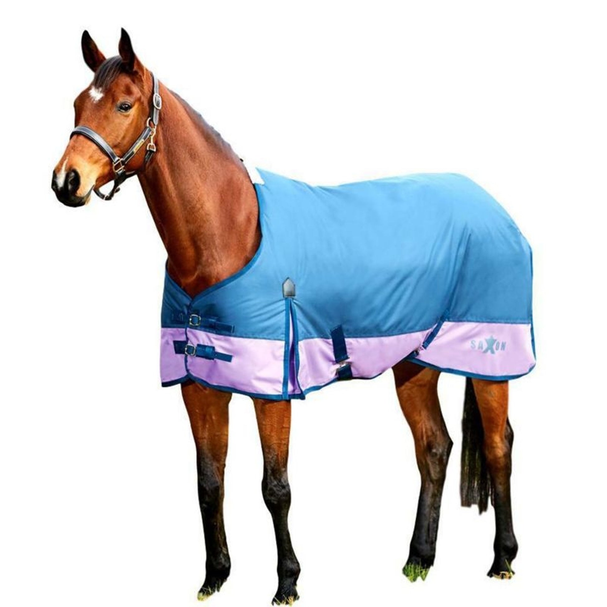 Saxon 600D Standard Neck Medium Turnout Blanket With Gusset ll