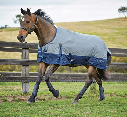Saxon 600D Standard Neck Medium Turnout Blanket With Gusset ll