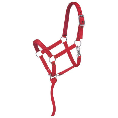Tough1 Nylon Deluxe 3/4" Padded Miniature Halter