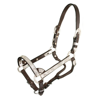 Royal King Silver Show Halter