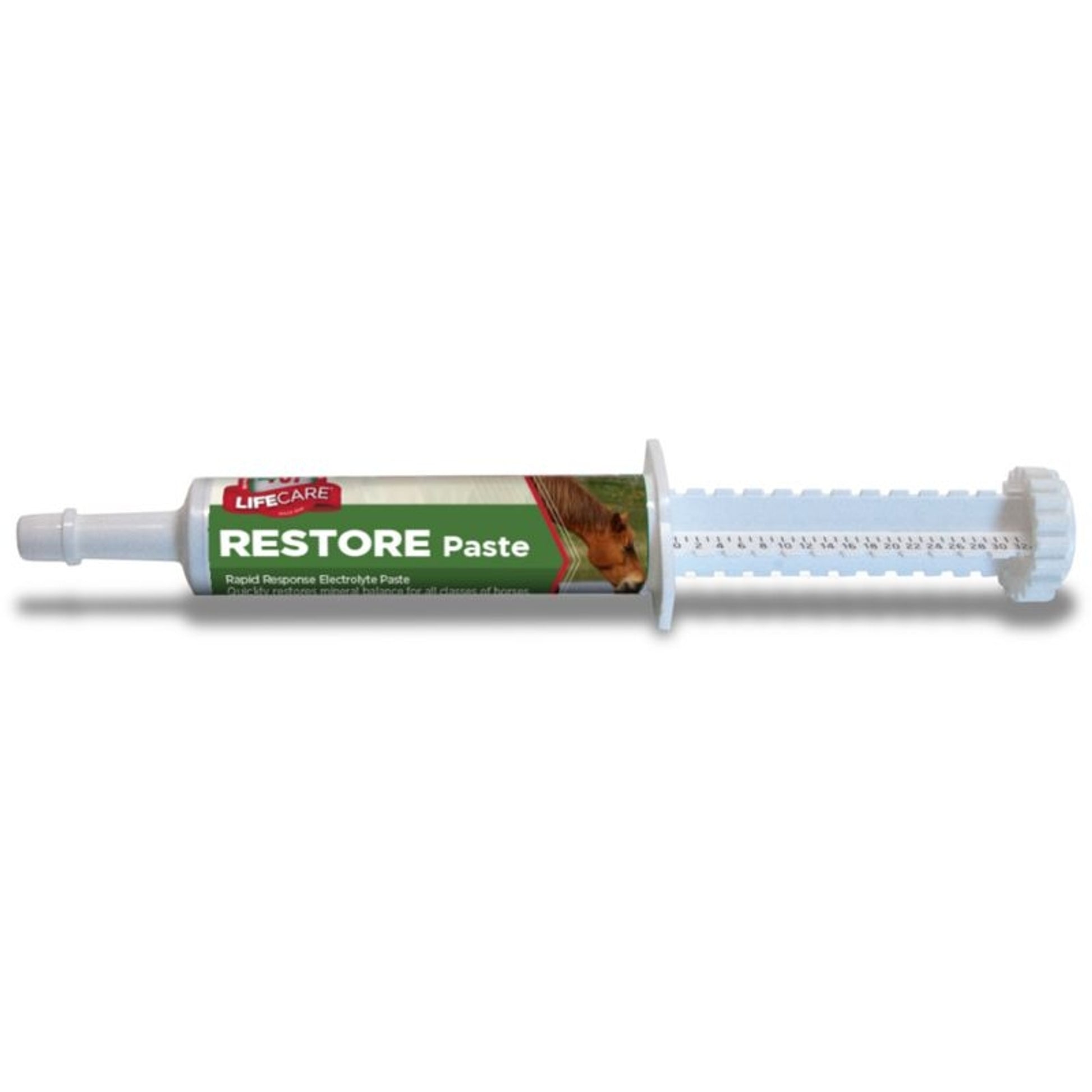 RESTORE ELECTROLYTE PST 2OZ