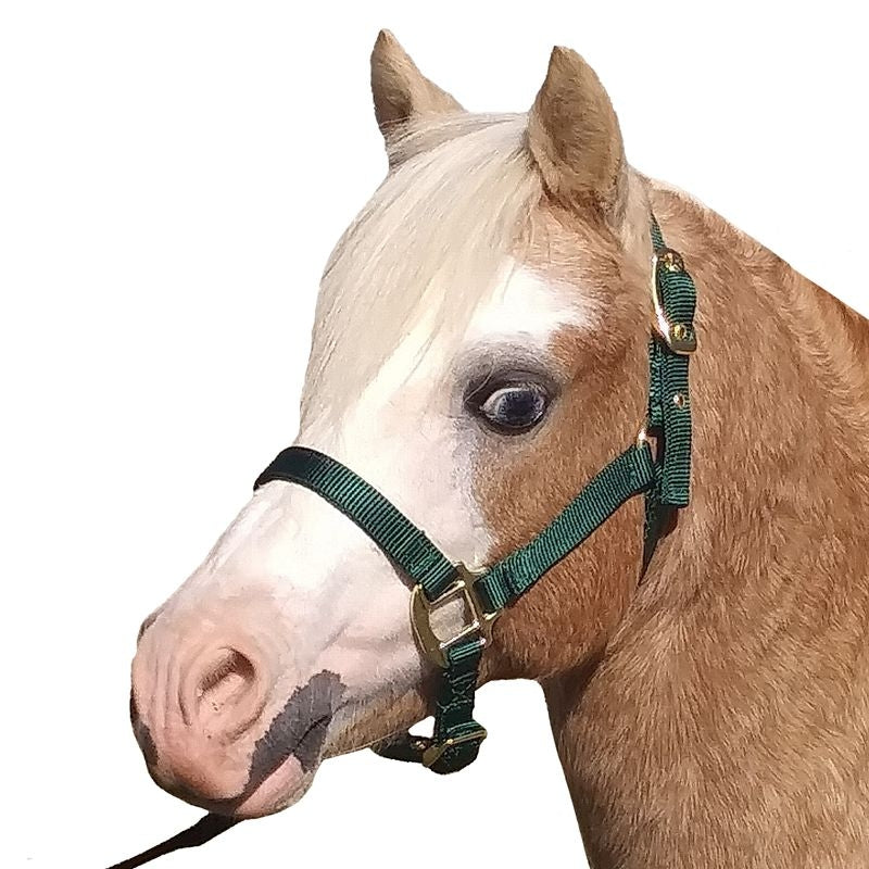 Ozark Mini Premium Nylon Halter