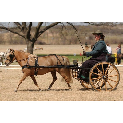 CDE Mini/Pony Formal Driving Harness Pony Chrome