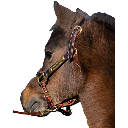 Ozark Mini Leather Halter with 2 Person Brass Tag