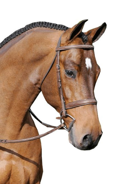 Arc de Triomphe Tribute Bridle with Reins