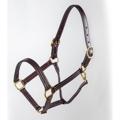 Tory Leather Traditional ProKentucky Halter