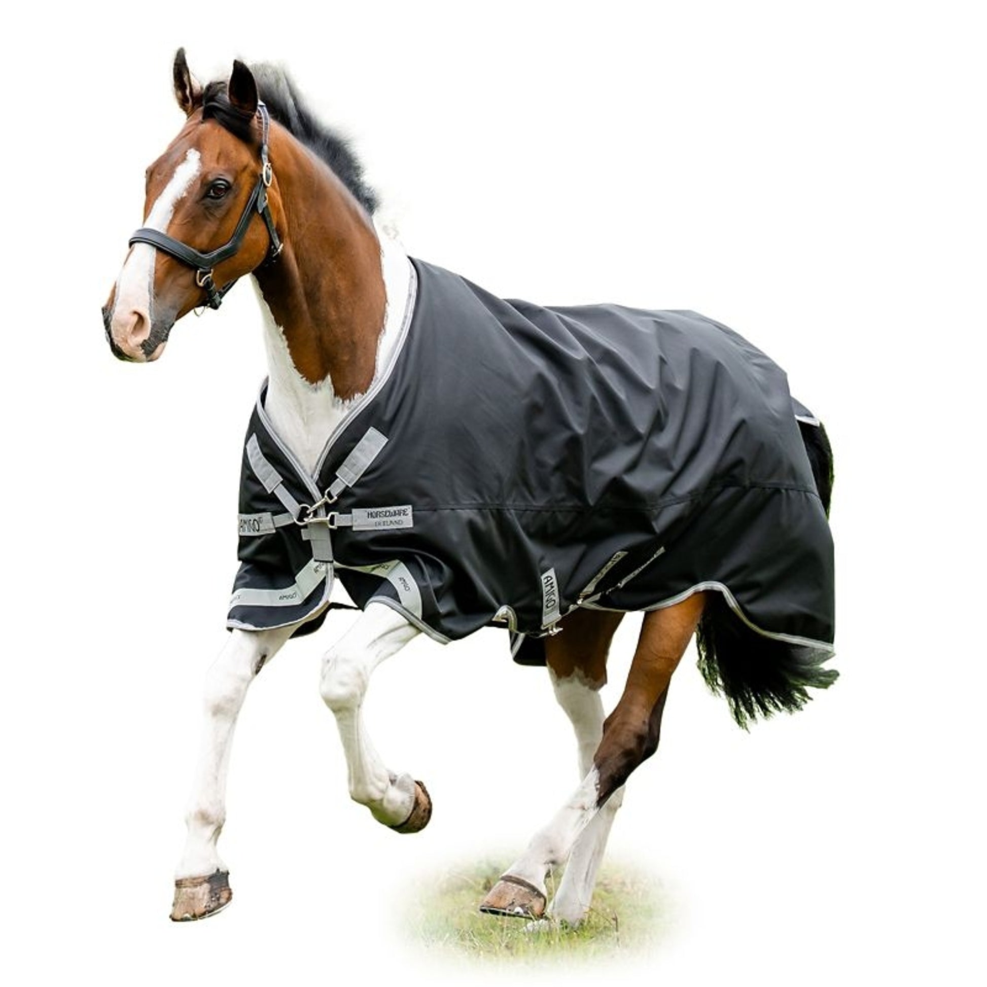 Amigo Bravo 12 XL Original Turnout (250g Medium)