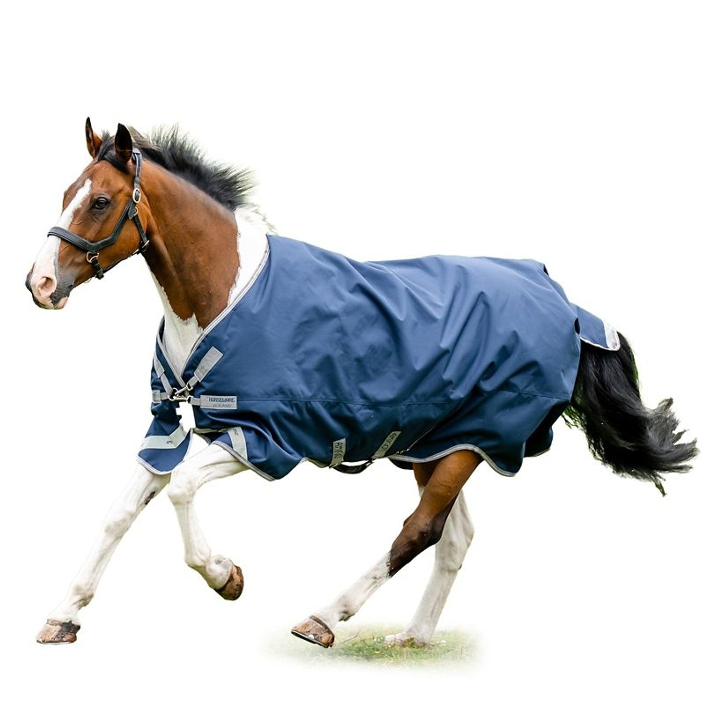 Amigo Bravo 12 XL Original Turnout (250g Medium)