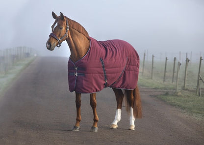 Rambo Stable Blanket (100g Lite)